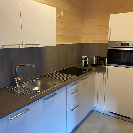 Entspannen Im Holzchalet Mit Panoramablick, Ruhe Und Infrarotsauna Lejlighed Hermagor-Pressegger See