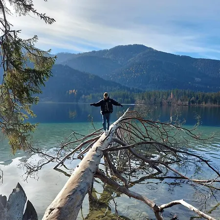 Entspannen Im Holzchalet Mit Panoramablick, Ruhe Und Infrarotsauna Lejlighed *